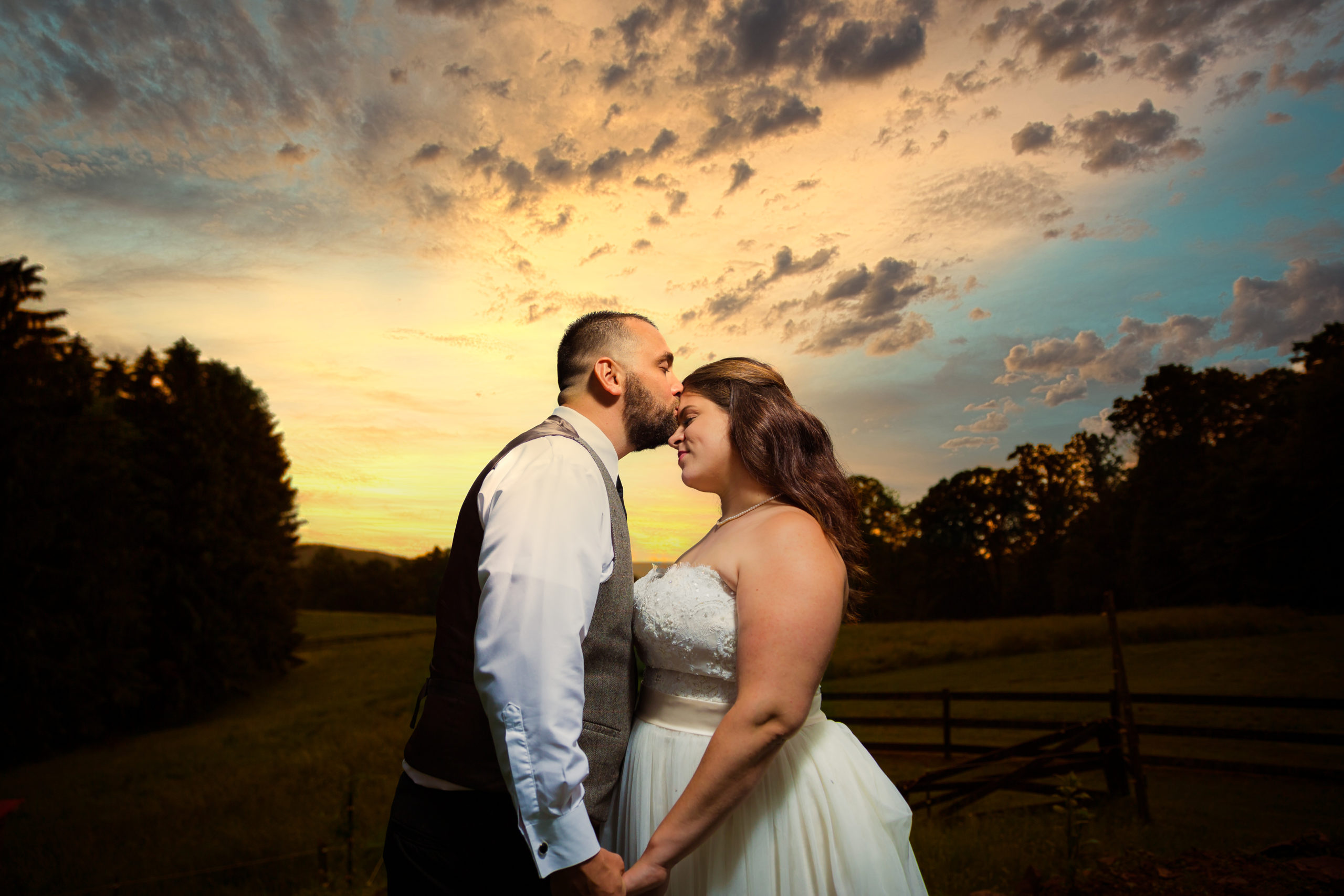 Neil Holloman Photography