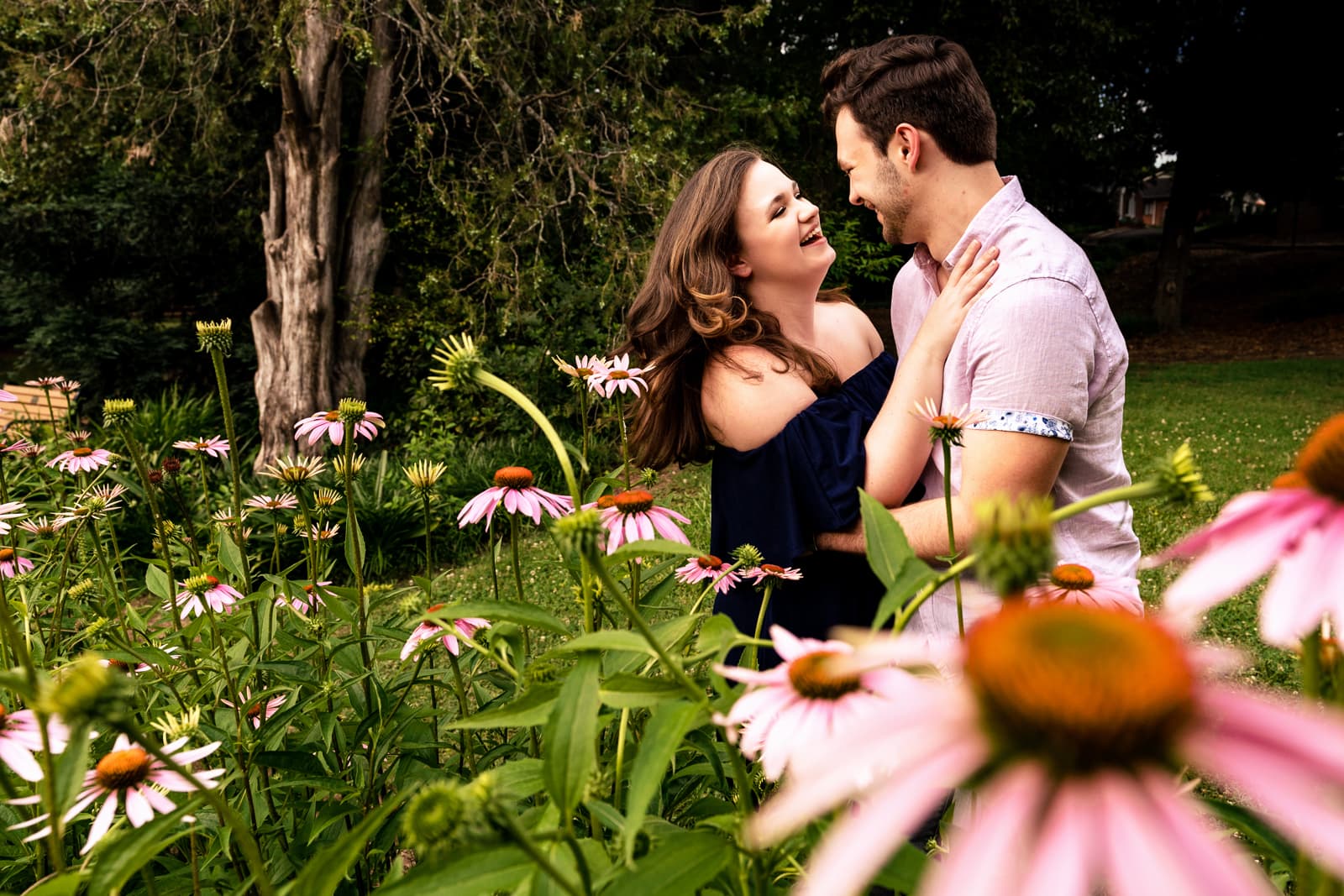rose garden