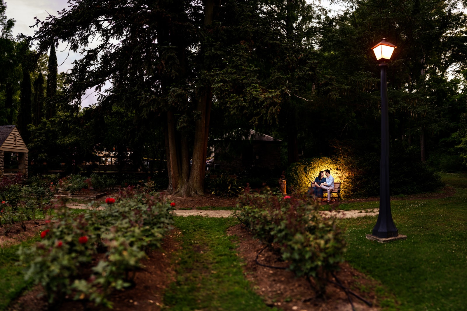 Raleigh Rose Garden