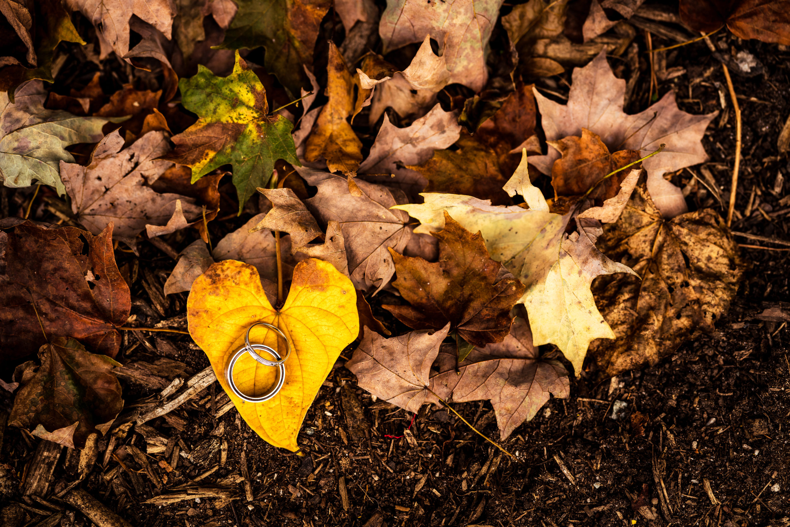 25+ Fall Wedding Photos For Your Inspiration