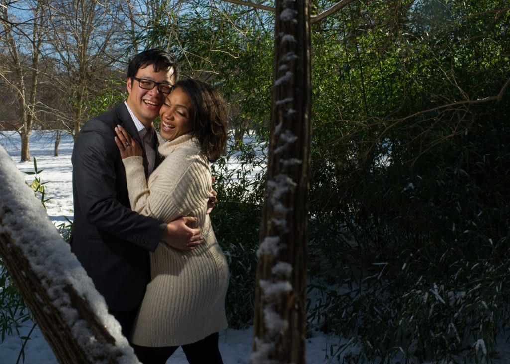 Arnold Arboretum of Harvard University