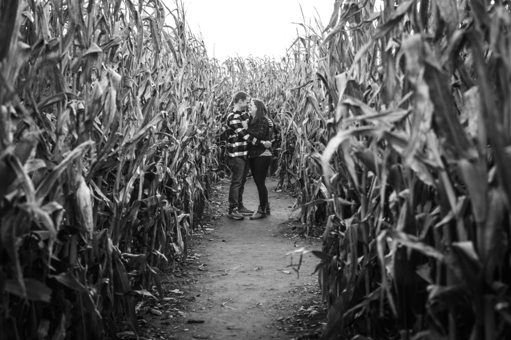 Davis Farmland