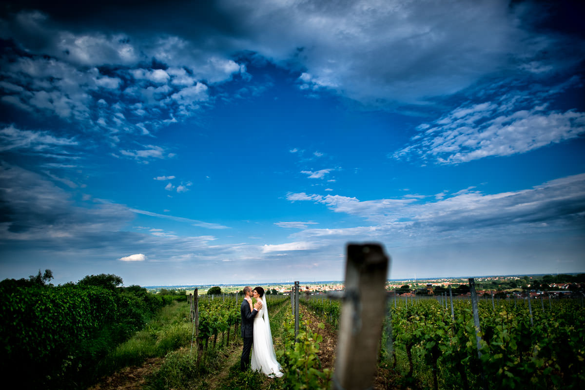 winning winery