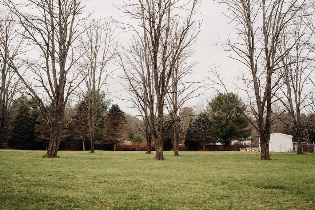Angel & Anchor Farm