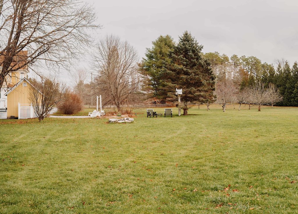 Angel & Anchor Farm