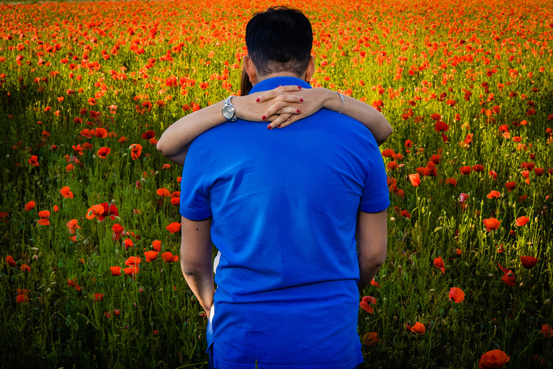 Red Poppy Fields