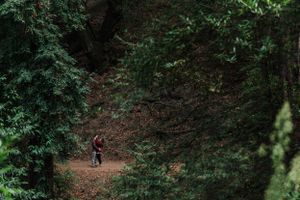 Bear Creek Redwoods Open Space Preserve