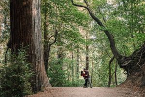 Bear Creek Redwoods Open Space Preserve