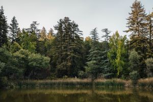 Bear Creek Redwoods Open Space Preserve