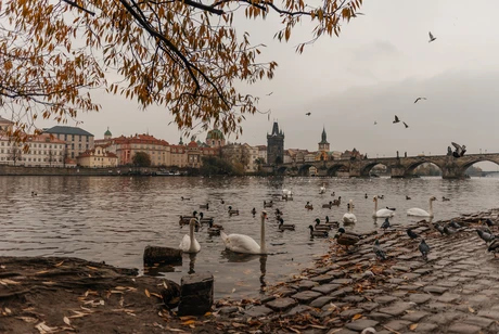 Charles Bridge