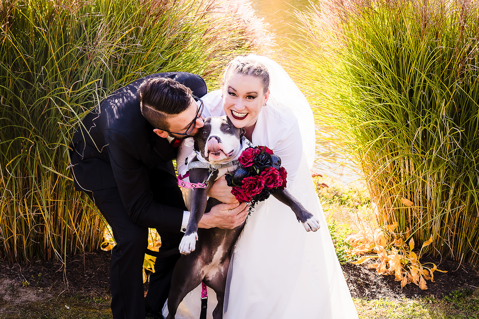 Kristie Montrois Elopements and Weddings