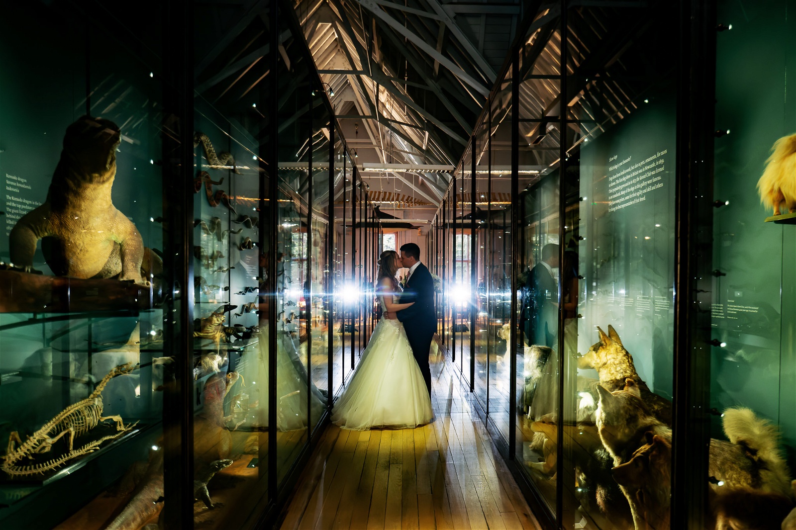 Natural History Museum at Tring