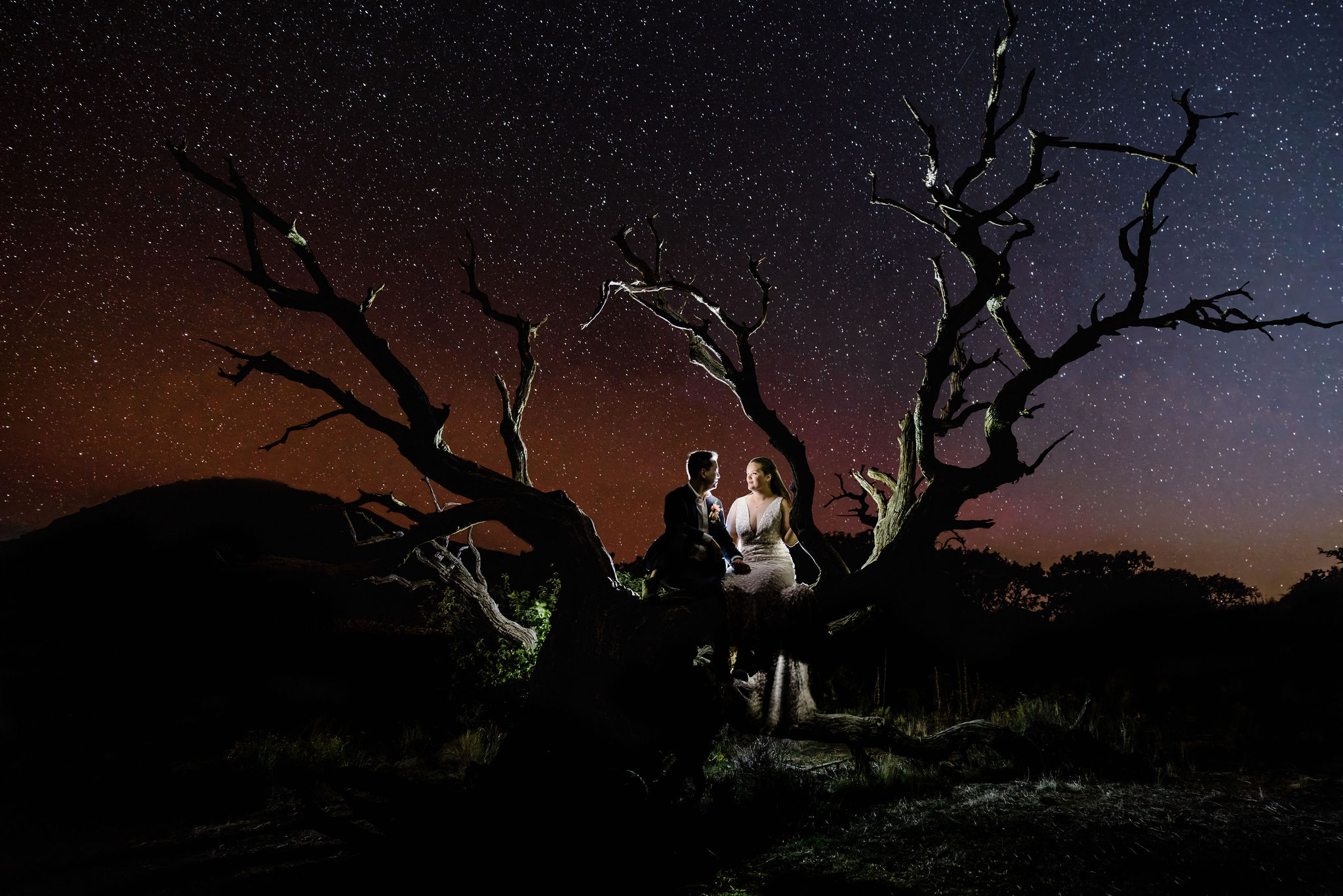 Vow of the Wild
