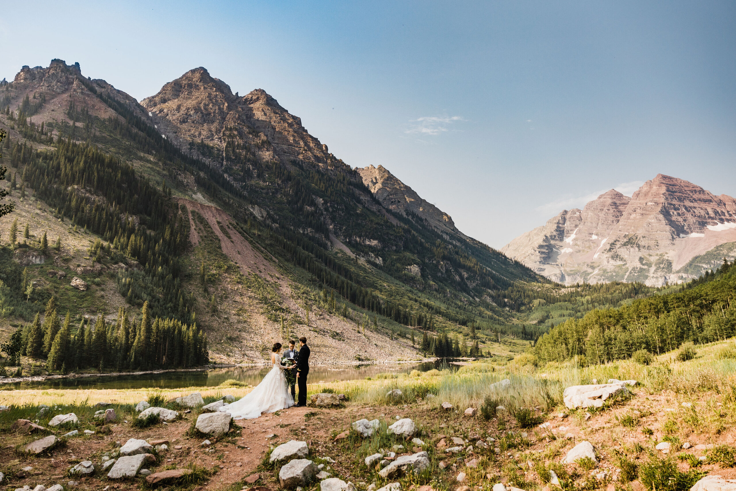 Vow of the Wild