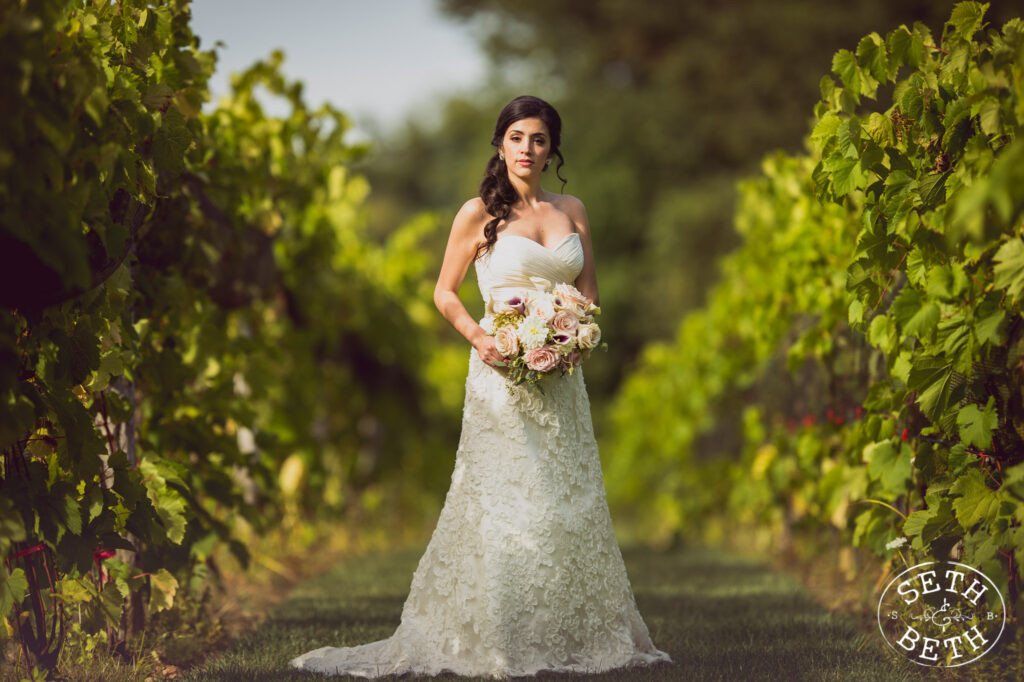 Gervasi Vineyard
