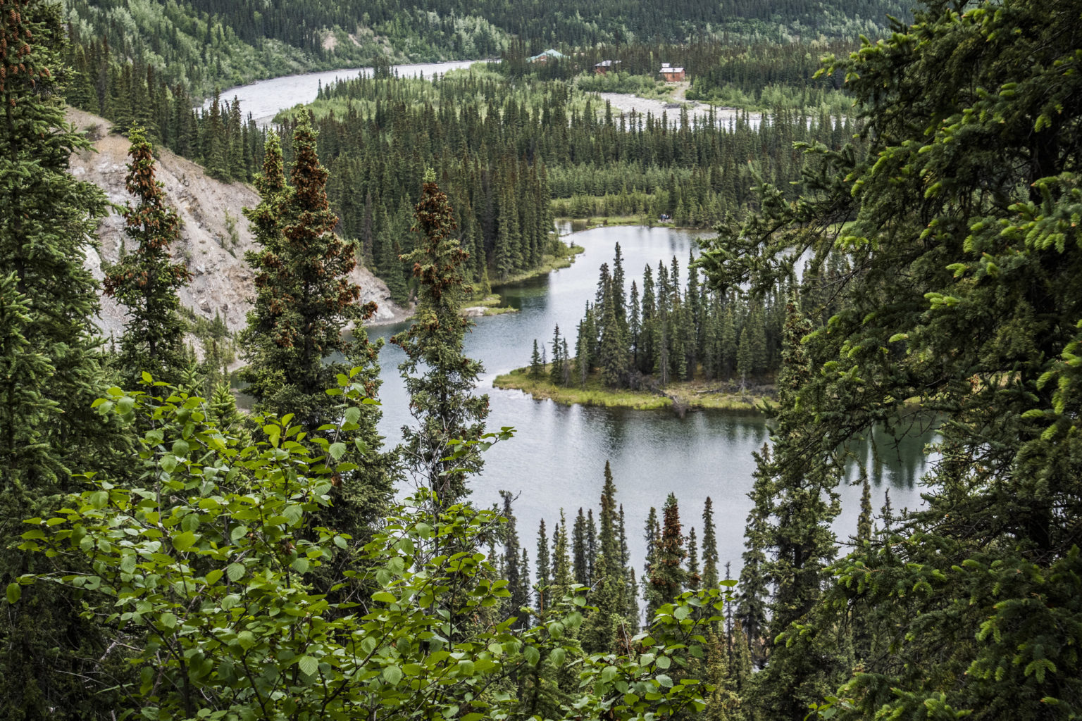 Horseshoe Lake Trail