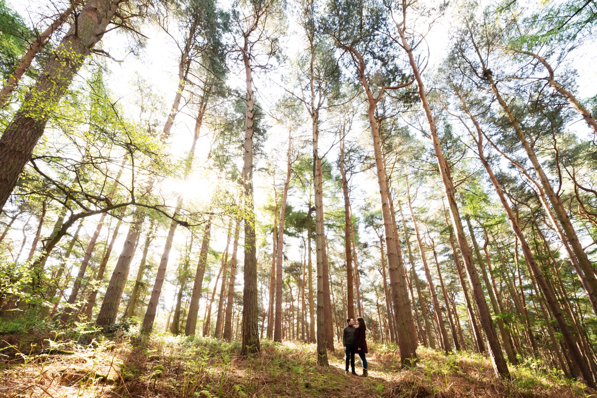 Rushmere Country Park