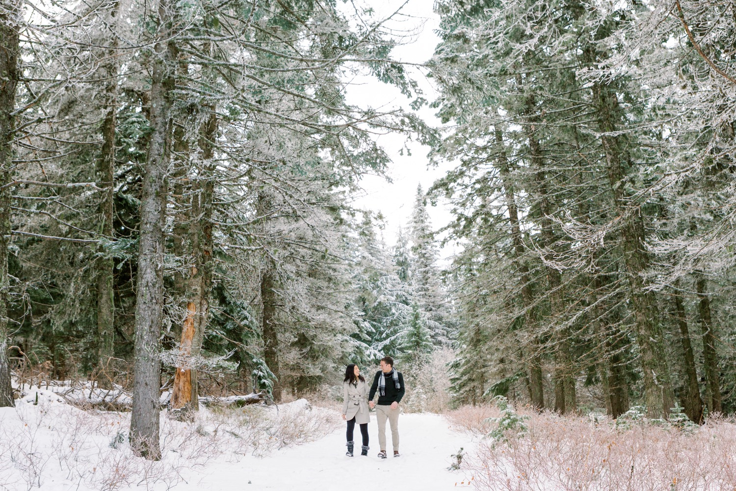 Mount Spokane State Park