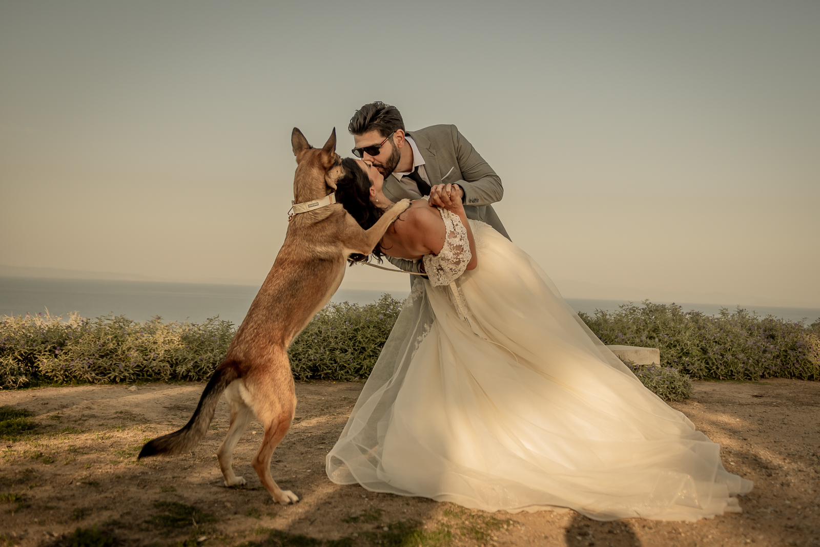 Sofia Camplioni Photography