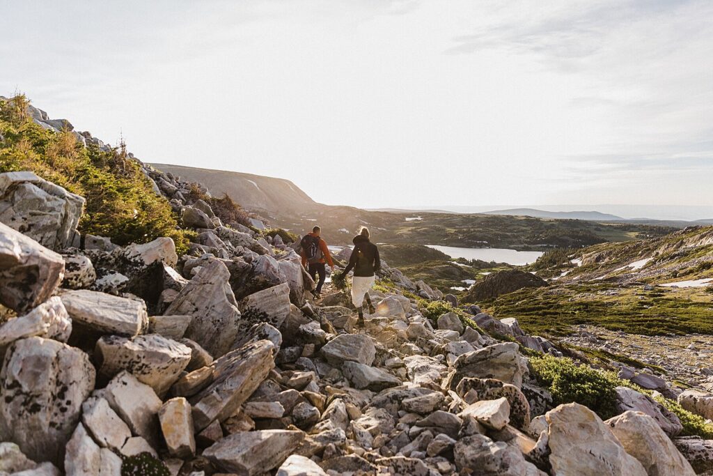 Medicine Bow