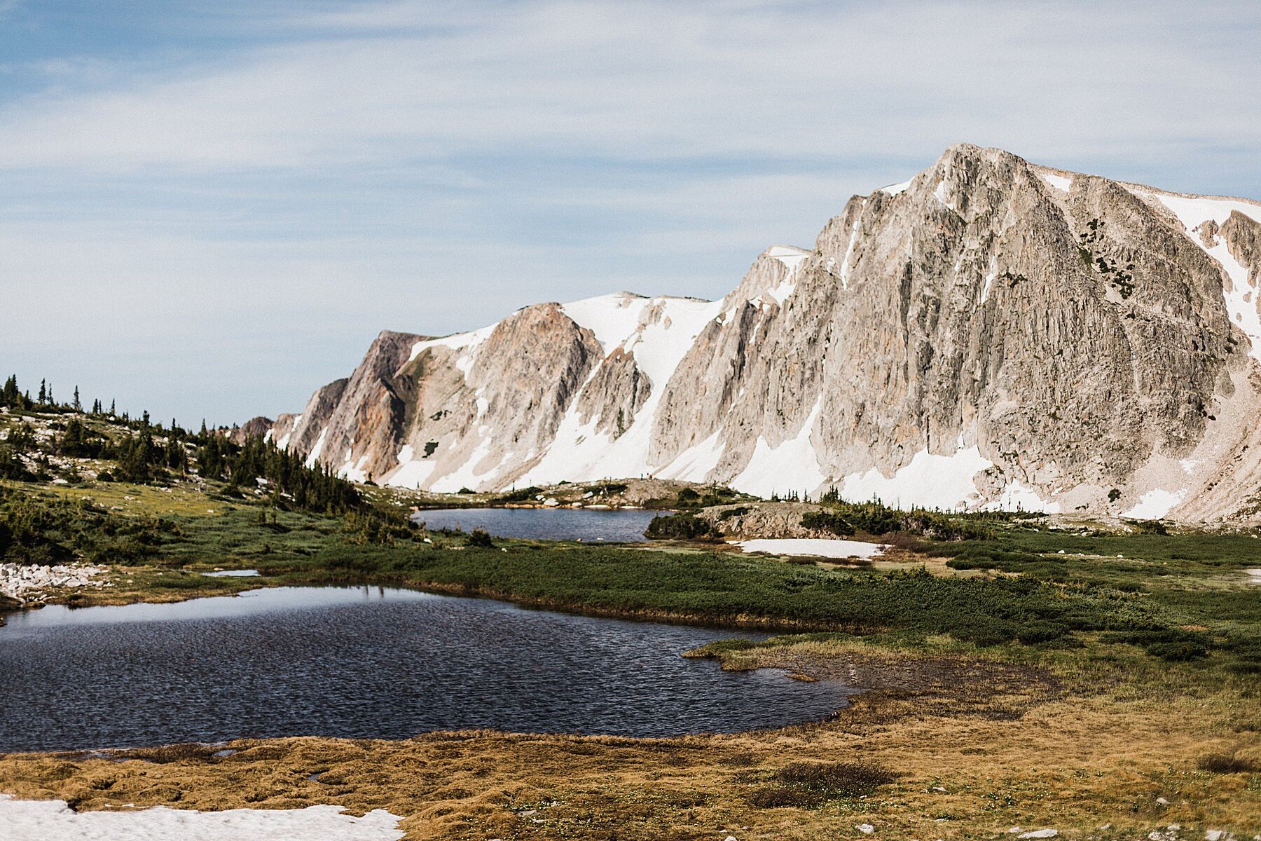 Medicine Bow
