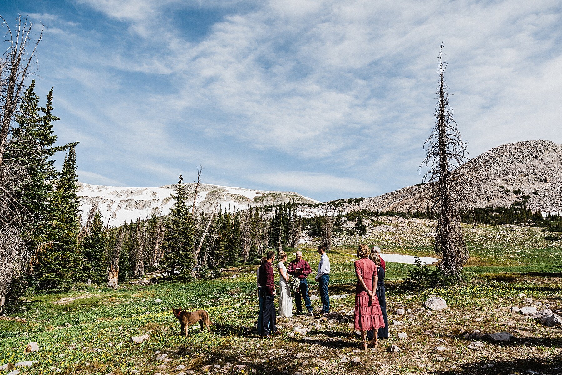 Medicine Bow