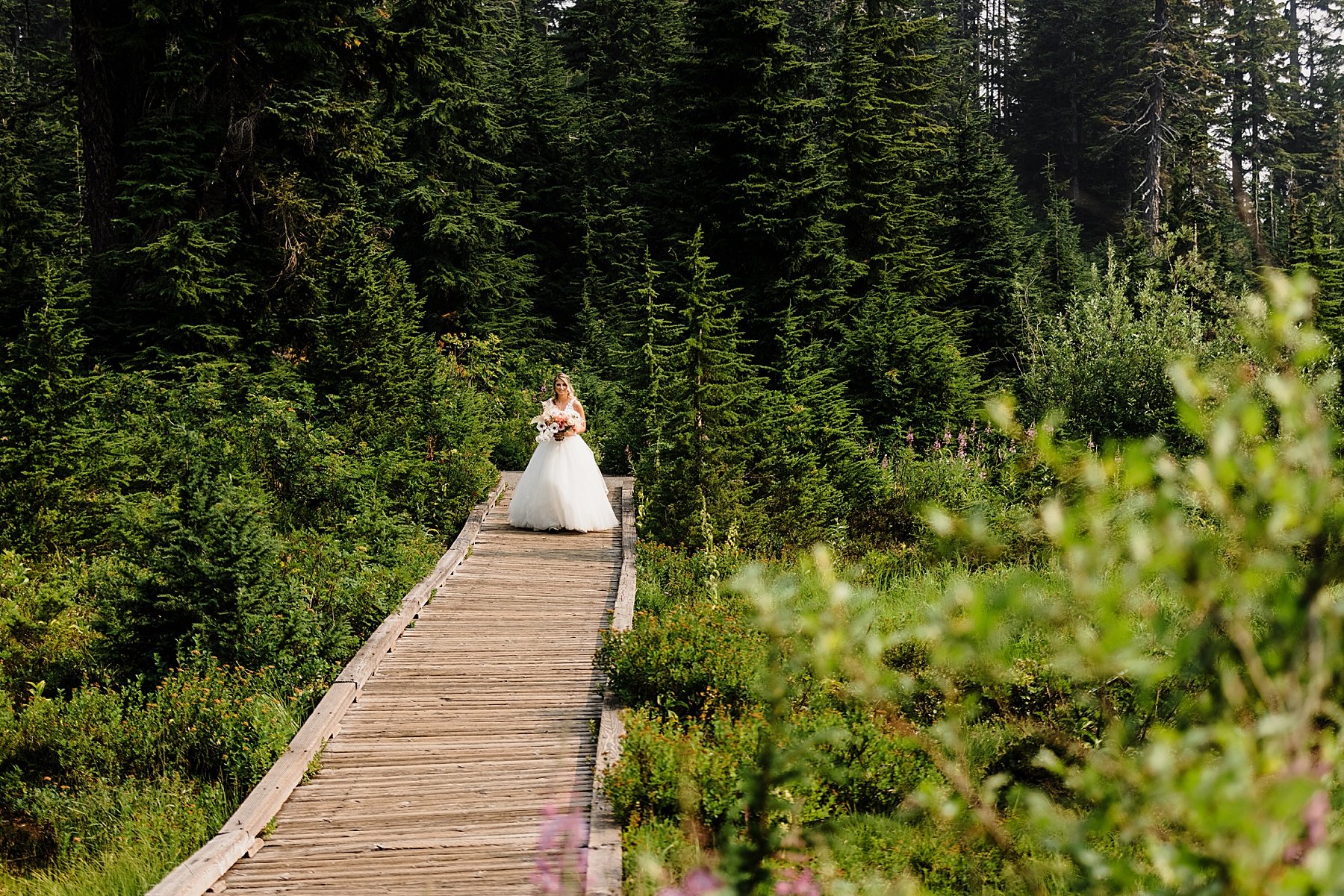 Mt. Baker National Forest