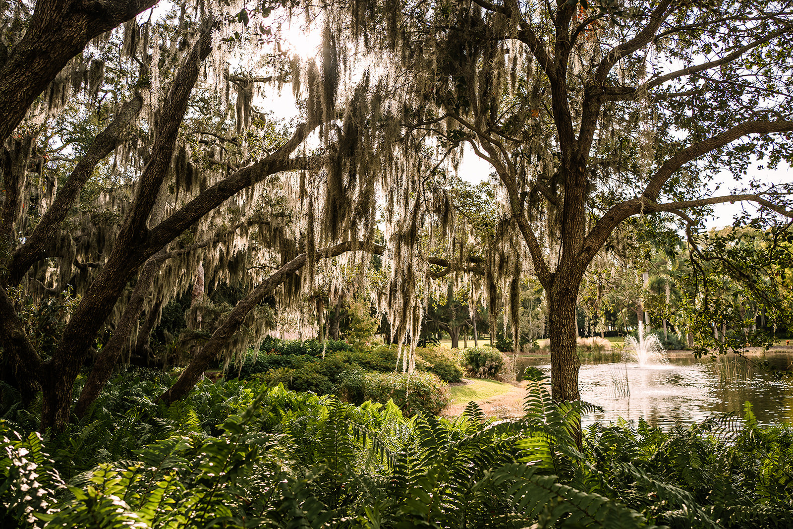 The John and Mable Ringling Museum of Art