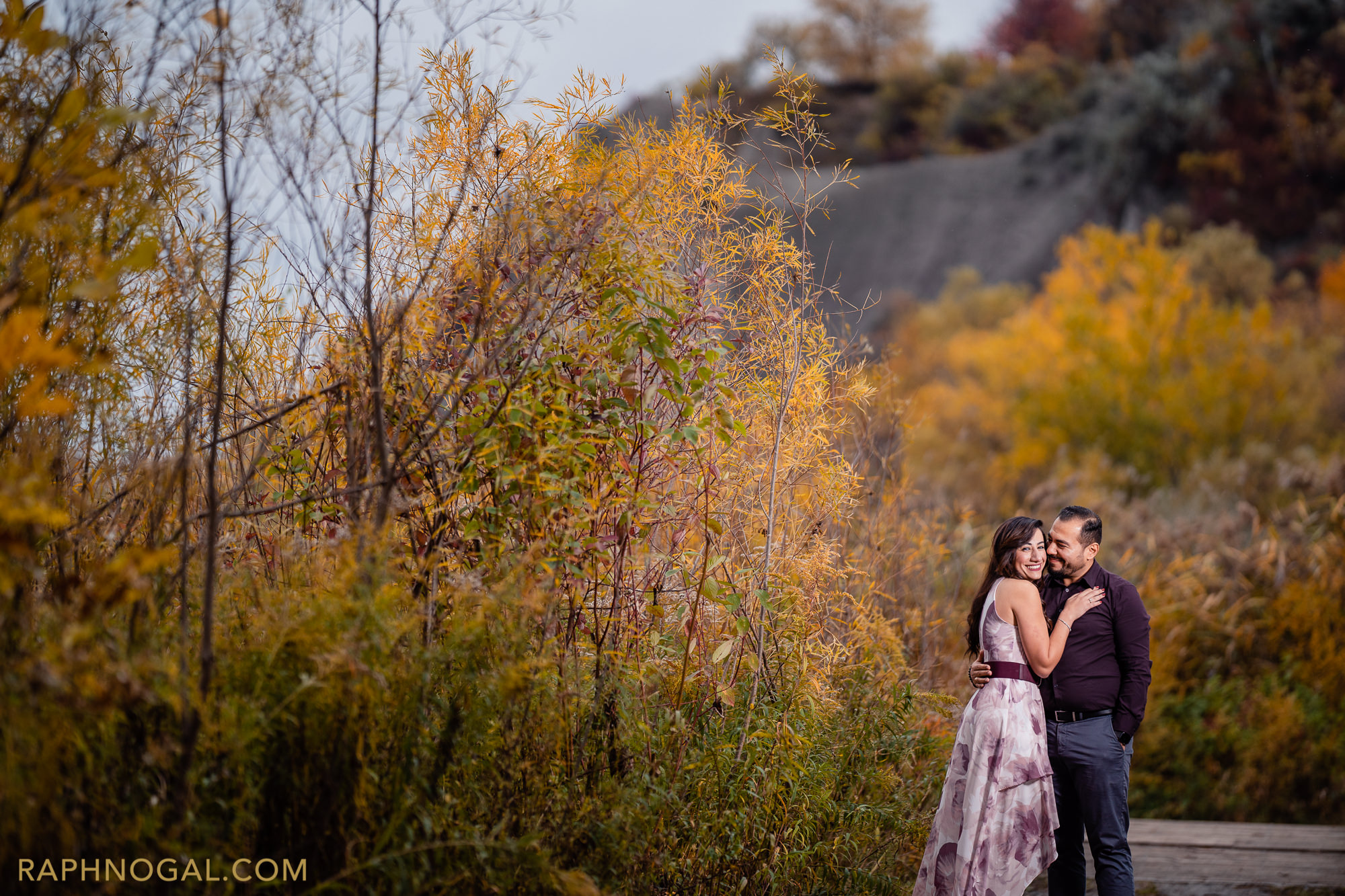 Scarborough Bluffs Park