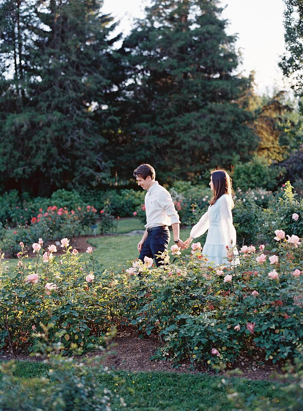 Woodland Park Rose Garden