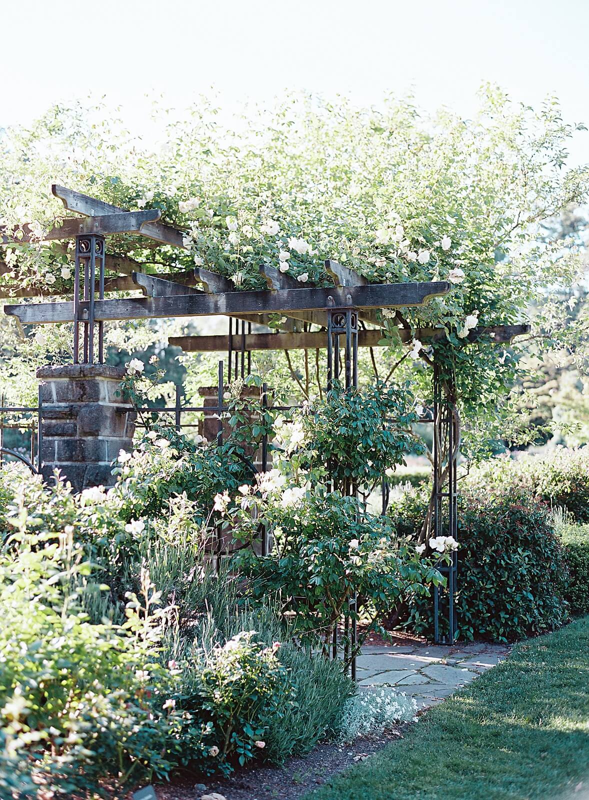 Woodland Park Rose Garden