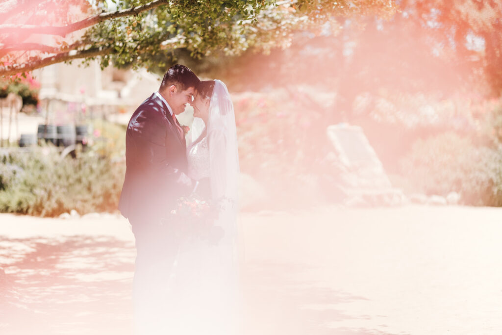 William J Saylor Photography