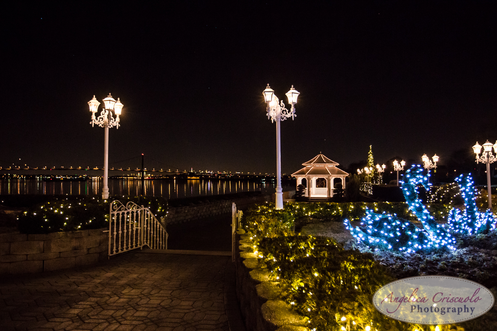 Marina Del Rey Bronx