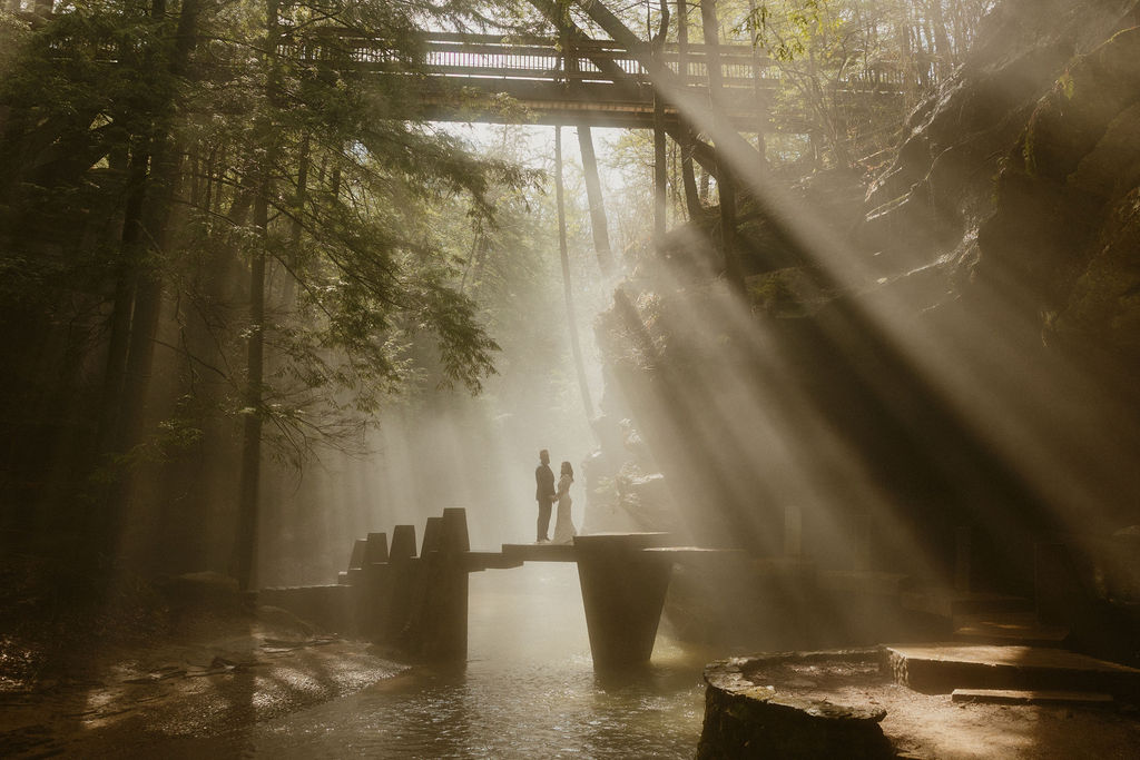 Danielle Williams Photography
