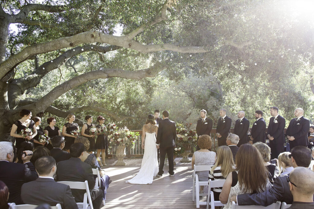 Elizabeth Victoria Photography