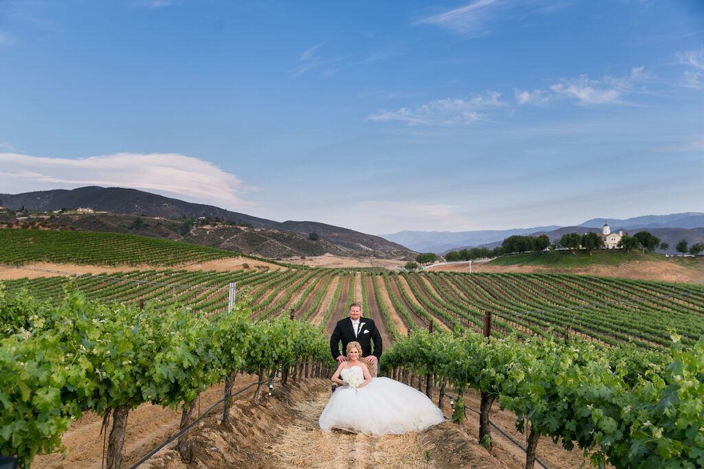 15+ Beautiful Vineyard Wedding Photos