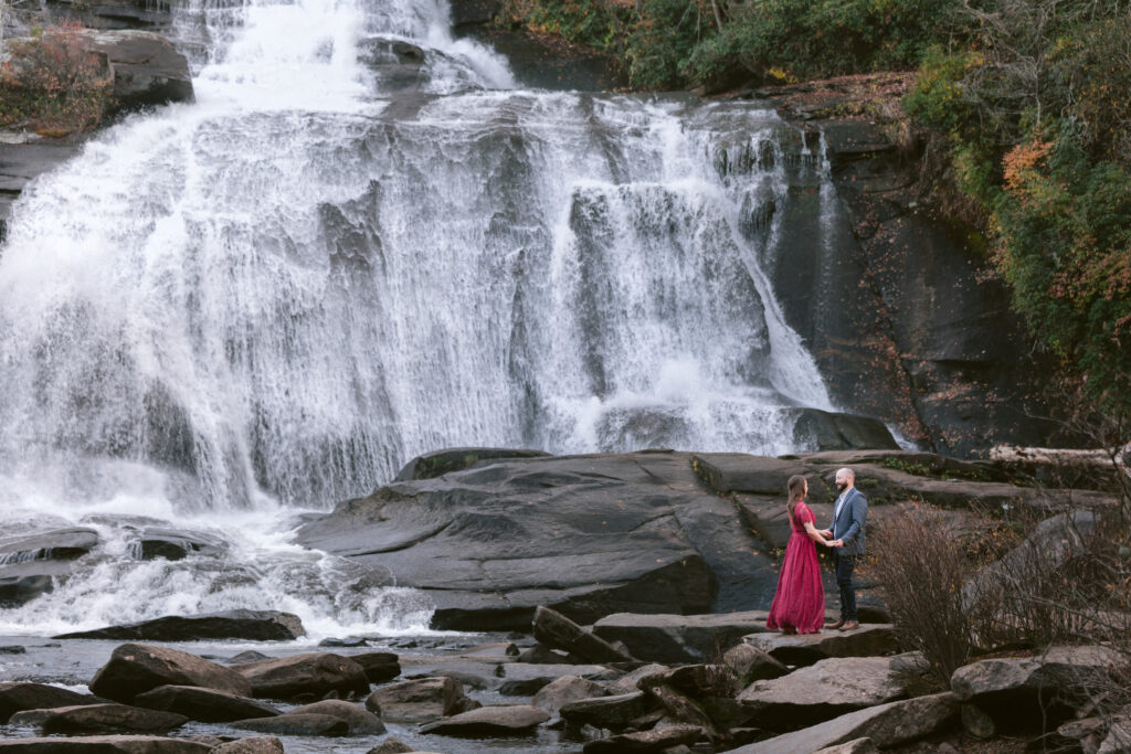 Dupont State Forest