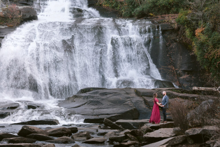 Dupont State Forest