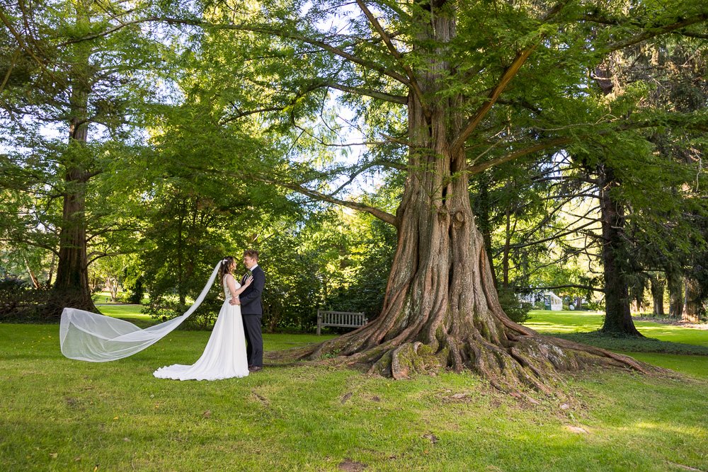 Bailey Arboretum