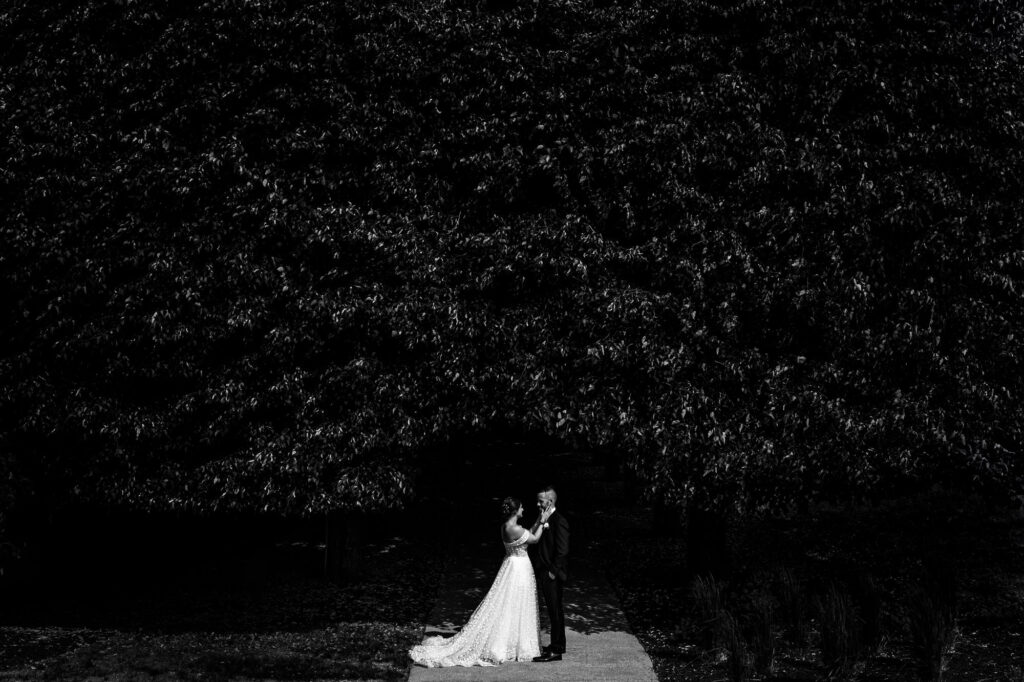 hard-light-photography-kniley-photography-5221-1024x682.jpg