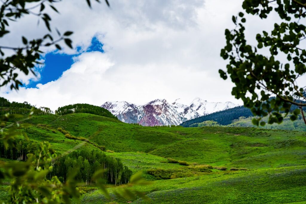 Mountain Wedding Garden