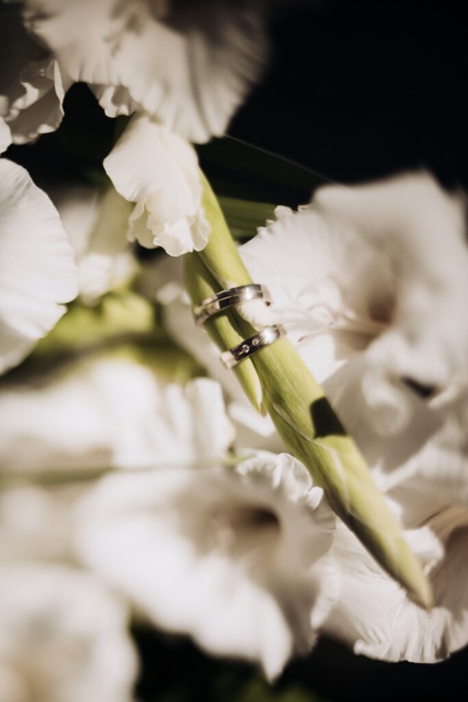 tilt-shift-wedding-brushandfeathers-2-scaled-1-683x1024.jpg