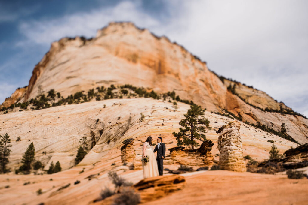 tilt-shift-wedding-vow-of-the-wild-1024x683.jpg