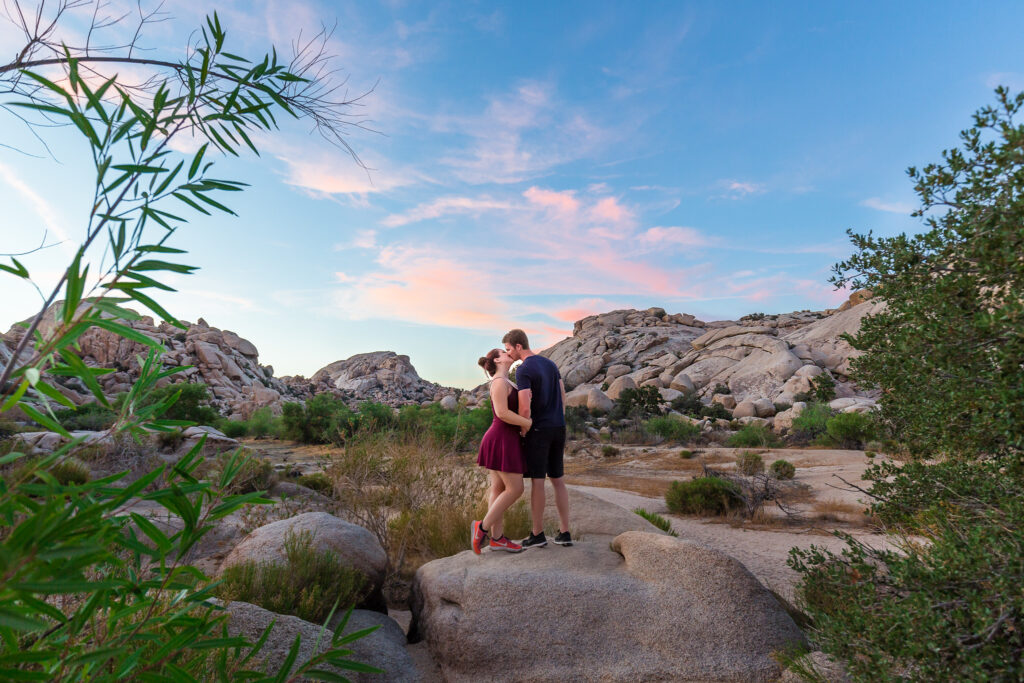 Joshua-Tree-stefani-ciotti-photography-1024x683.jpg