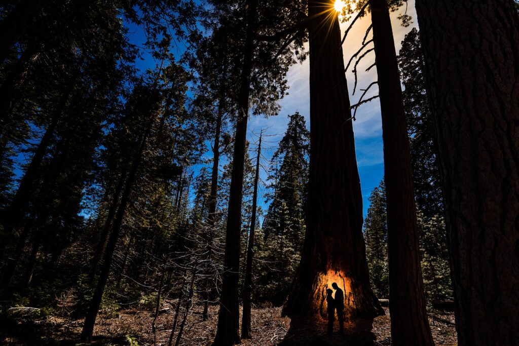 yosemite-national-park-smj-photography-1-1-1024x683.jpg