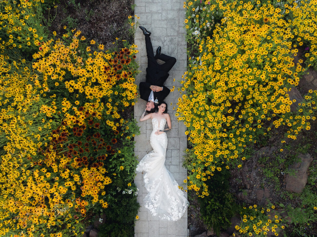 MOT photography