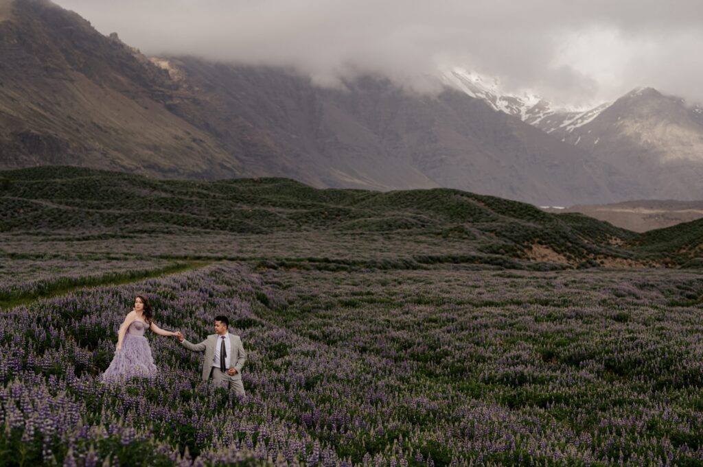 Iceland-Lupine-GreenApple-Photography-1-scaled-1-1024x681.jpg