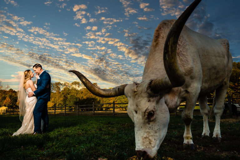 10 Ranch and Farm Wedding Portrait Ideas You’ll Want to Save