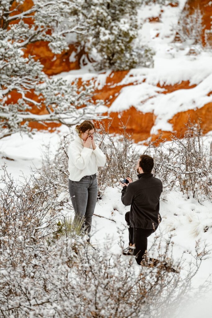 Romantic winter proposal portrait by In Love and Adventure