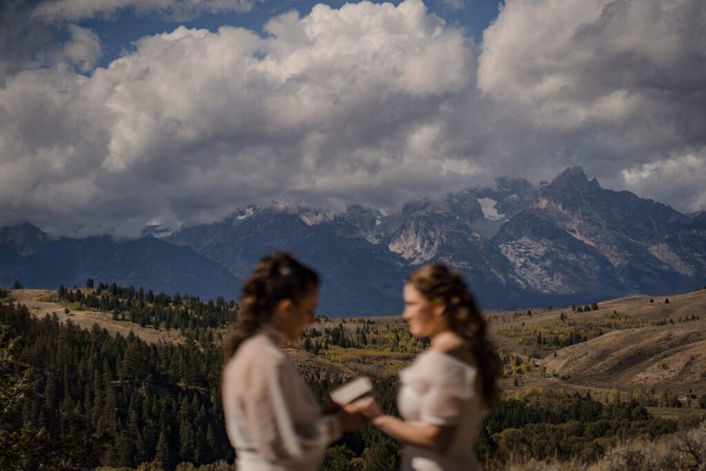 weddingtree_Grandtetons_buffygoodman-scaled-1-1024x683.jpg